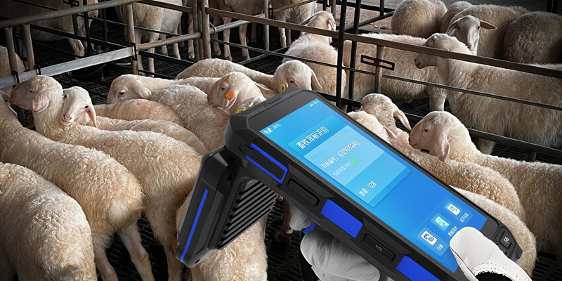 汉德霍尔畜牧耳标识别手持机，远距离 RFID 耳标手持终端，畜禽溯源工业 PDA